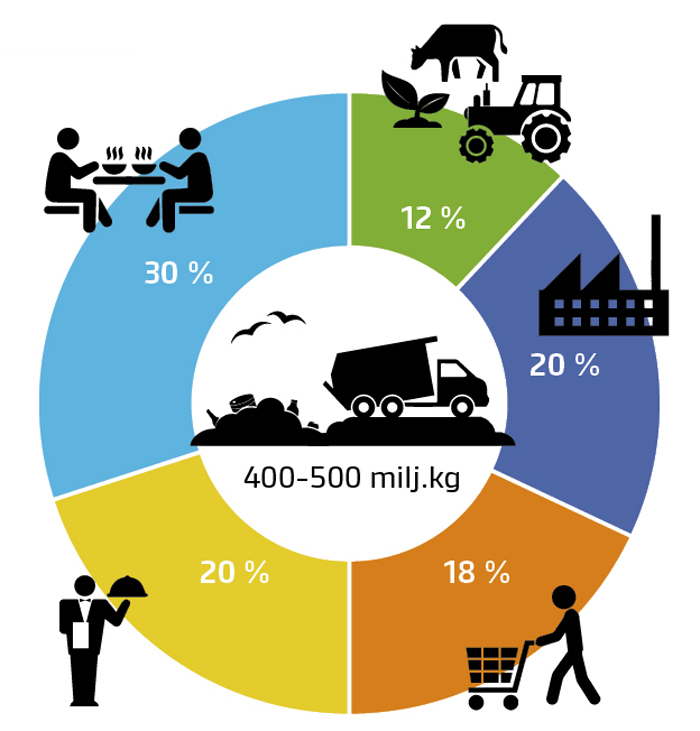 Food loss graphics